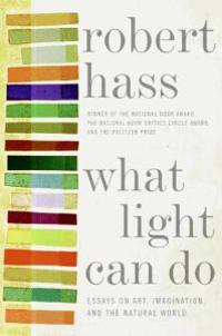 What Light Can Do: Essays on Art, Imagination, and the Natural World