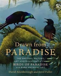 Drawn from Paradise: The Natural History, Art and Discovery of the Birds of Paradise with Rare Archival Art