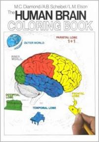The Human Brain Colouring Book
