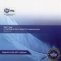 ITIL Lite