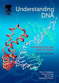 Understanding DNA