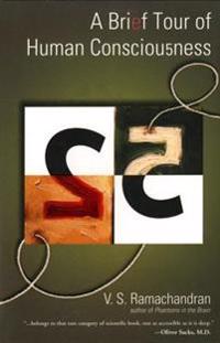 Brief Tour of Human Consciousness