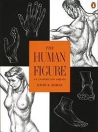 The Human Figure: An Anatomy for Artists