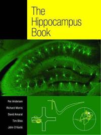 The Hippocampus