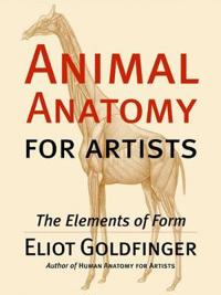 Animal Anatomy for Artists: The Elements of Form