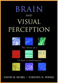Brain and Visual Perception