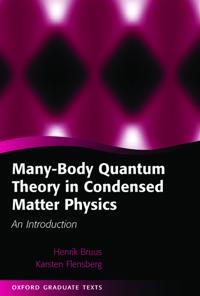 Many-body Quantum Theory in Condensed Matter Physics