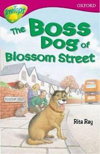 Oxford Reading Tree: Stage 10: TreeTops Stories: Boss Dog of Blossom Street