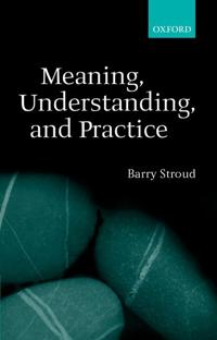 Meaning, Understanding and Practice