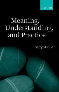 Meaning, Understanding and Practice
