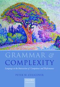 Grammar and Complexity