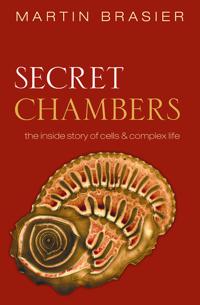 Secret Chambers