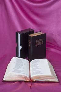 The New Jerusalem Bible