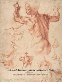 Art and Anatomy in Renaissance Italy
