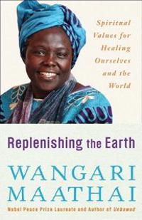 Replenishing the Earth: Spiritual Values for Healing Ourselves and the World