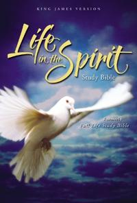 King James Life in the Spirit Study Bible