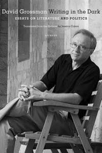 Writing in the Dark: Essays on Literature and Politics