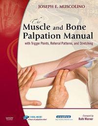 The Muscle and Bone Palpation Manual with Trigger Points, Referral Patterns and Stretching