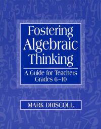 Fostering Algebraic Thinking