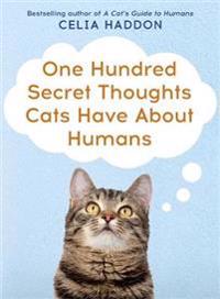 100 Secret Thoughts Cats Have About Humans