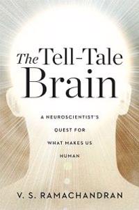 The Tell-tale Brain