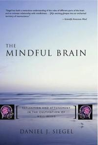 The Mindful Brain in Human Development