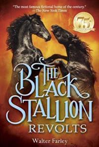The Black Stallion RE