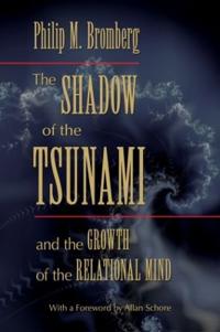The Shadow of the Tsunami