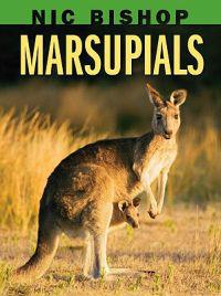 Nic Bishop: Marsupials