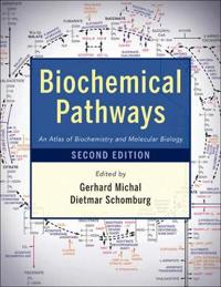 Biochemical Pathways: An Atlas of Biochemistry and Molecular Biology