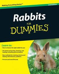 Rabbits for Dummies