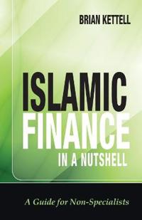 Islamic Finance in a Nutshell: A Guide for Non-Specialists