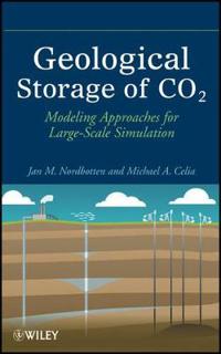 Geological Storage of Co2: Modeling Approaches for Large-Scale Simulation