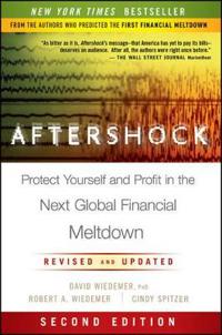 Aftershock: Protect Yourself and Profit in the Next Global Financial Meltdo