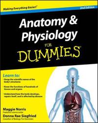 Anatomy & Physiology For Dummies, 2nd Edition