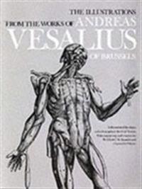 The Illustrations from the Works of Andreas Vesalius of Brussels; With Annotations and Translations, a Discussion of the Plates and Their Background,