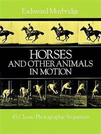 Horses and Other Animals in Motion