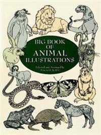 Big Book of Animal Illustrations