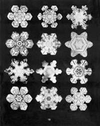 Bentley's Snowflakes
