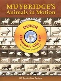 Muybridge's Animals in Motion
