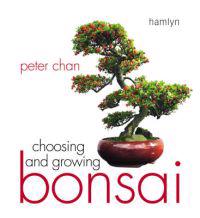 Choosing and Growing Bonsai