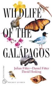 Wildlife of the Galapagos