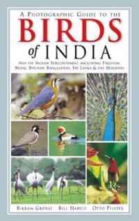A Photographic Guide to the Birds of India: And the Indian Subcontinent, Including Pakistan, Nepal, Bhutan, Bangladesh, Sri Lanka, and the Maldives