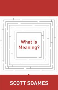 What is Meaning?