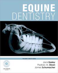 Equine Dentistry