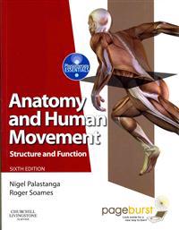 Anatomy and Human Movement