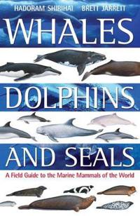 Whales,Dolphins and Seals