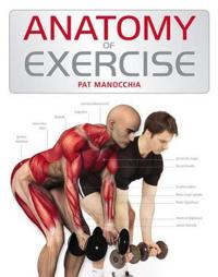 Anatomy of Exercise