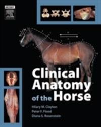 Clinical Anatomy of the Horse