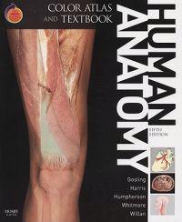 Human Anatomy